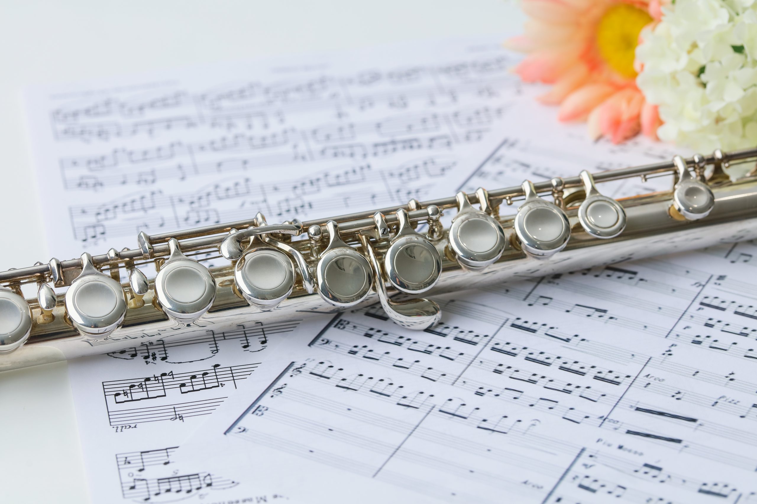 T’s FLUTE ACADEMYへようこそ！｜T'sフルートアカデミー